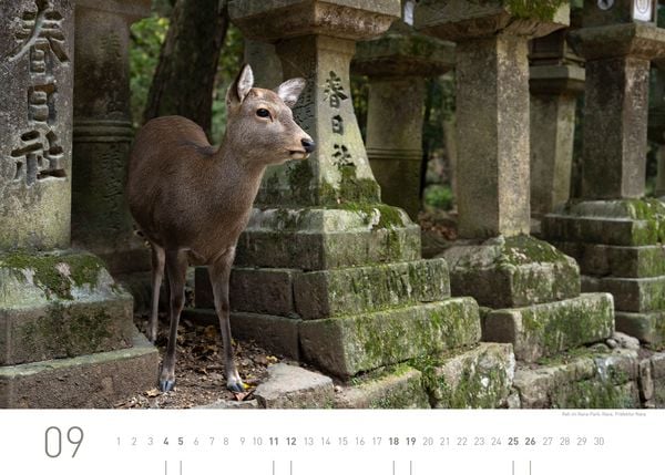 Produktbild: Japan Exklusivkalender 2027
