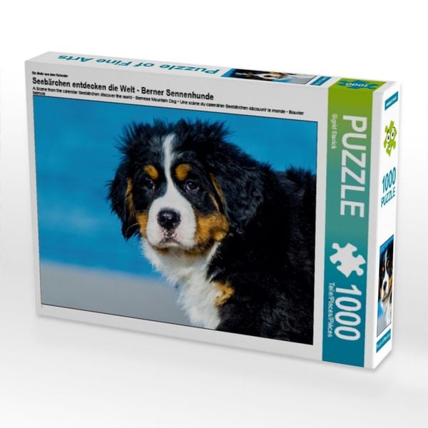 CALVENDO Puzzle Ein Motiv aus dem Kalender Seebärchen entdecken die Welt - Berner Sennenhunde | 1000 Teile Lege-Größe 64x48cm Foto-Puzzle für