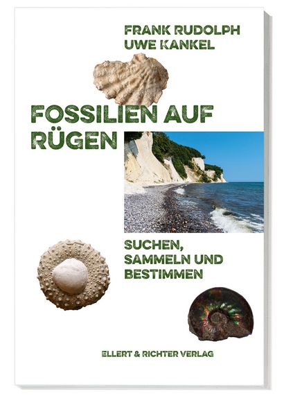 Produktbild: Fossilien auf R&uuml;gen
