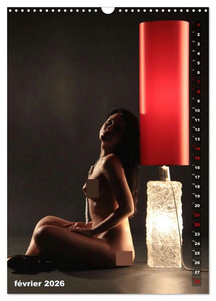 Produktbild: Le feu rouge (Calendrier mural 2026 DIN A3 horizontal), CALVENDO calendrier mensuel