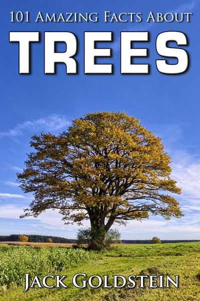 Produktbild: 101 Amazing Facts about Trees