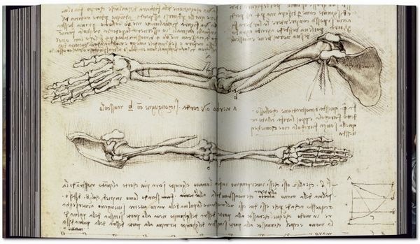 Produktbild: Leonardo. Obra pict&oacute;rica completa y obra gr&aacute;fica