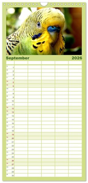 Produktbild: Familienplaner 2026 - Wellensittiche - Naturkalender mit 5 Spalten (Wandkalender, 21 x 45 cm) CALVENDO