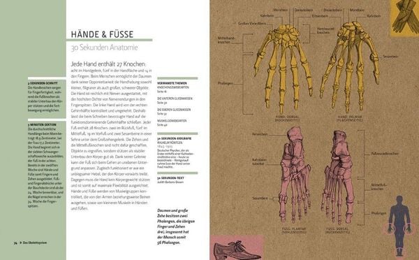 Produktbild: Anatomie in 30 Sekunden