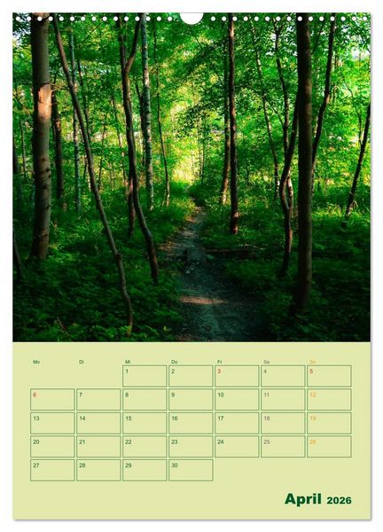 Produktbild: Wald- und Wiesenkalender 2026 Planer (Wandkalender 2026 DIN A3 hoch), CALVENDO Monatskalender