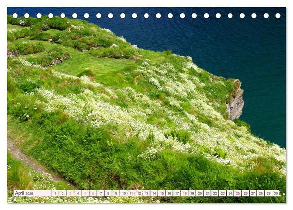 Produktbild: Cornwall im Fr&uuml;hling (Tischkalender 2026 DIN A5 quer), CALVENDO Monatskalender