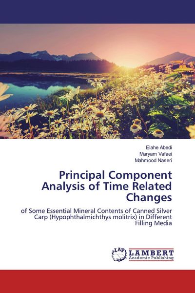 Produktbild: Principal Component Analysis of Time Related Changes