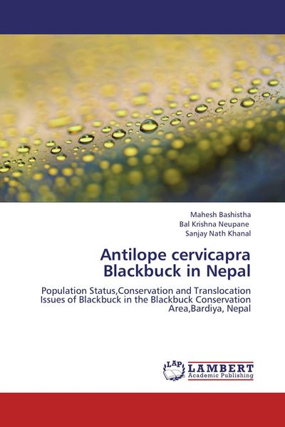 Produktbild: Antilope cervicapra Blackbuck in Nepal