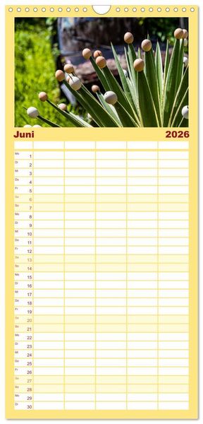 Produktbild: Familienplaner 2026 - Fr&uuml;chte der Karibik mit 5 Spalten (Wandkalender, 21 x 45 cm) CALVENDO