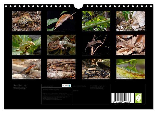 Produktbild: Reptilien auf Madagaskar (Wandkalender 2027 DIN A4 quer), CALVENDO Monatskalender