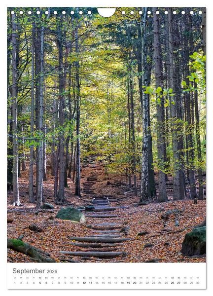 Produktbild: Wald - bezaubernde Landschaften (Wandkalender 2026 DIN A4 hoch), CALVENDO Monatskalender