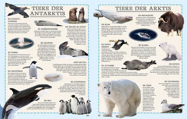 Produktbild: Der Weltatlas
