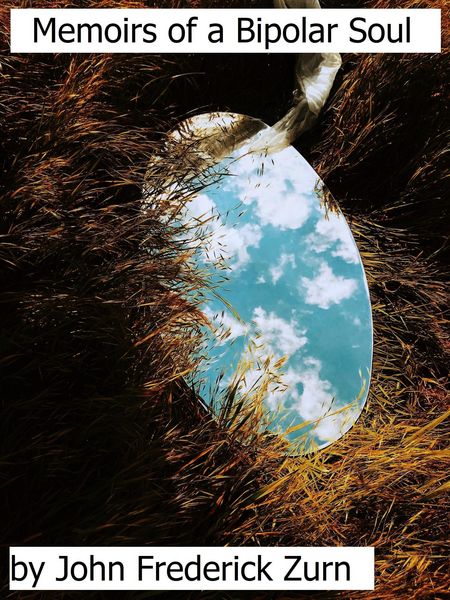 Produktbild: Memoirs of a Bipolar Soul