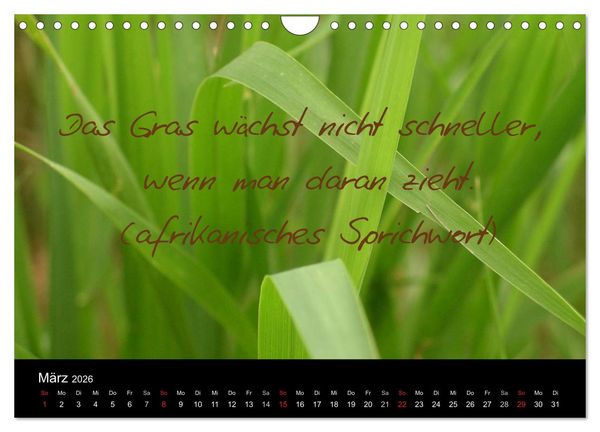 Produktbild: Positiv durch&acute;s Jahr (Wandkalender 2026 DIN A4 quer), CALVENDO Monatskalender