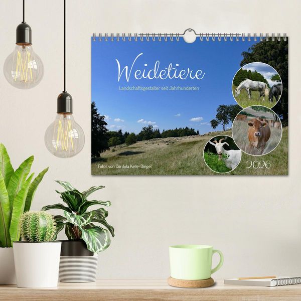 Produktbild: Weidetiere - Landschaftsgestalter seit Jahrhunderten (Wandkalender 2026 DIN A4 quer), CALVENDO Monatskalender