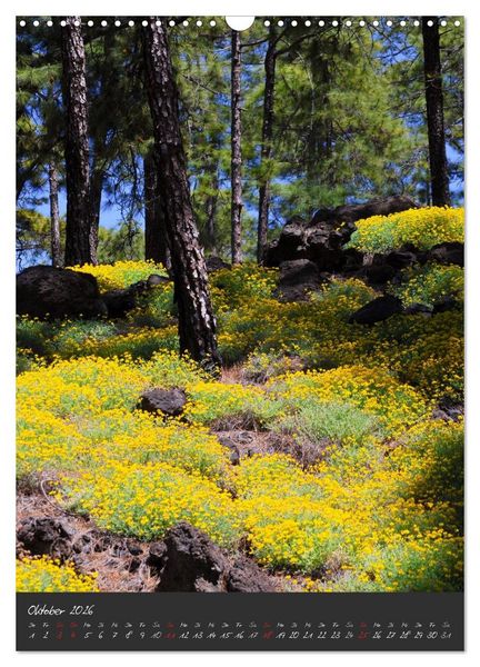 Produktbild: TENERIFFA (Wandkalender 2026 DIN A3 hoch), CALVENDO Monatskalender