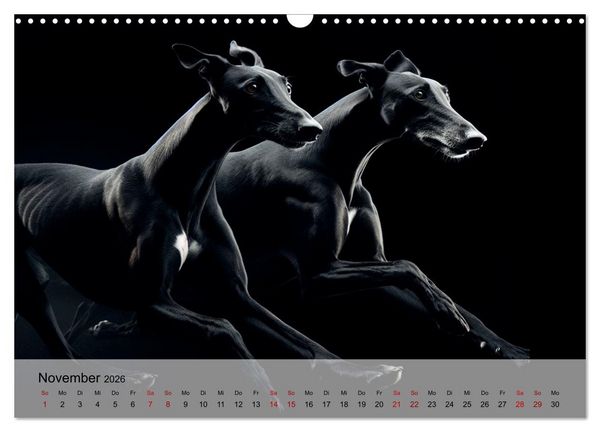 Produktbild: Black is beautiful (Wandkalender 2026 DIN A3 quer), CALVENDO Monatskalender