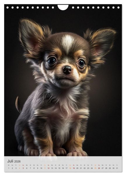 Produktbild: Zauberhafte Hundebabys (Wandkalender 2026 DIN A4 hoch), CALVENDO Monatskalender