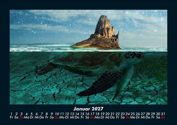 Produktbild: Schildkr&ouml;tenzauber 2027 Fotokalender DIN A5