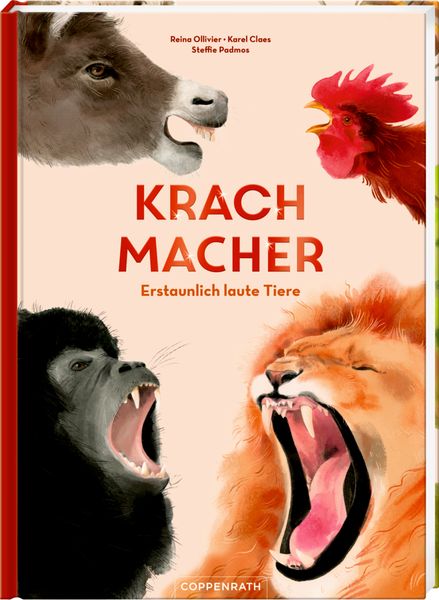 Produktbild: Krachmacher