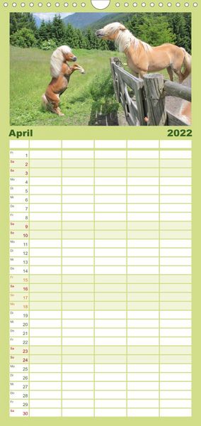 Produktbild: Familienplaner Alpenpferde (Wandkalender 2022 , 21 cm x 45 cm, hoch)