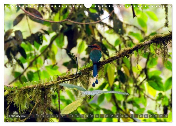 Produktbild: Amazing Costa Rica (Wall Calendar 2026 DIN A3 landscape), CALVENDO 12 Month Wall Calendar