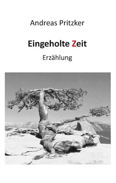 Eingeholte Zeit, Taschenbuch von Andreas Pritzker, BoD – Books on Demand, 9783735740373