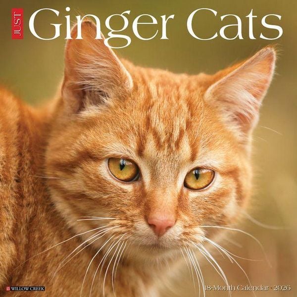 Produktbild: Ginger Cats 2026 Wall Calendar
