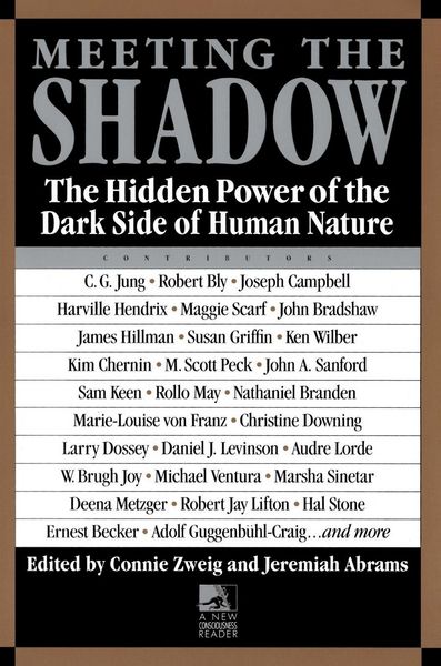 Produktbild: Meeting the Shadow