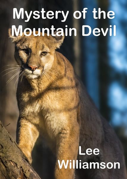 Produktbild: Mystery of the Mountain Devil