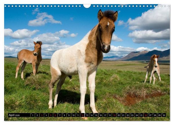 Produktbild: Island (Wandkalender 2026 DIN A3 quer), CALVENDO Monatskalender