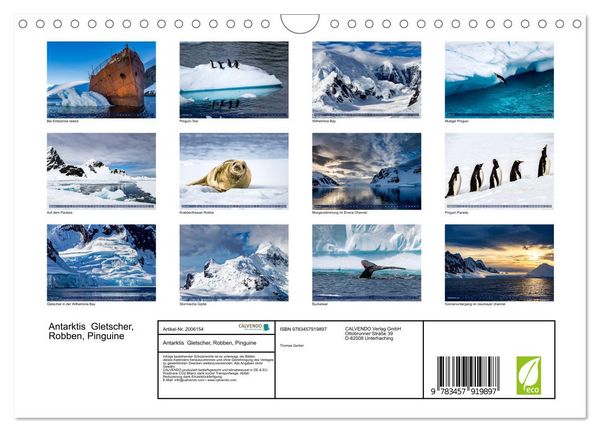 Produktbild: Antarktis Gletscher, Robben, Pinguine (Wandkalender 2026 DIN A4 quer), CALVENDO Monatskalender