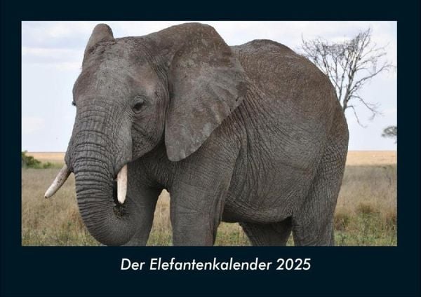 Produktbild: Der Elefantenkalender 2025 Fotokalender DIN A4
