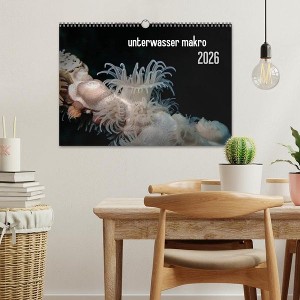 Produktbild: unterwasser makro 2026 (Wandkalender 2026 DIN A3 quer), CALVENDO Monatskalender
