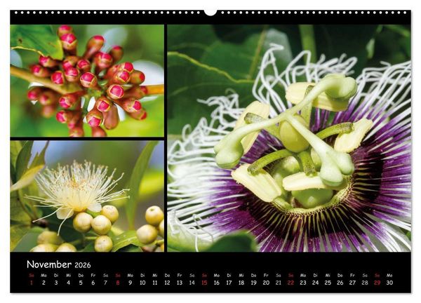 Produktbild: Dominikanische Republik Land & Leute (hochwertiger Premium Wandkalender 2026 DIN A2 quer), Kunstdruck in Hochglanz