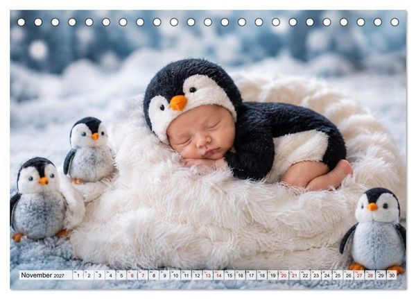 Produktbild: Kleine Wundertr&auml;ume (Tischkalender 2027 DIN A5 quer), CALVENDO Monatskalender