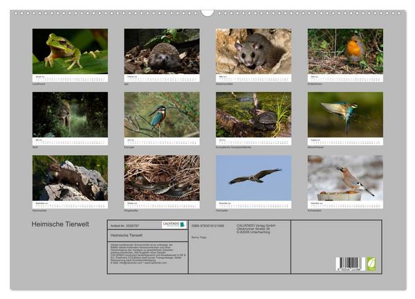 Produktbild: Heimische Tierwelt (Wandkalender 2026 DIN A2 quer), CALVENDO Monatskalender