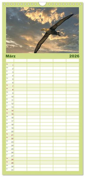 Produktbild: Familienplaner 2026 - Die faszinierende Tierwelt der Galapagos-Inseln mit 5 Spalten (Wandkalender, 21 x 45 cm) CALVENDO