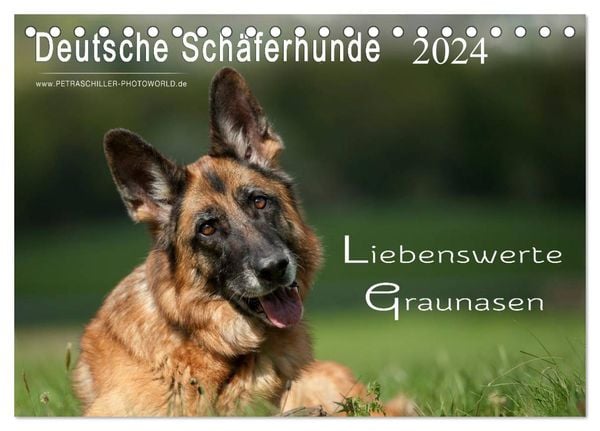 Deutsche Schäferhunde - Liebenswerte Graunasen (Tischkalender 2024 DIN A5 quer), CALVENDO Monatskalender