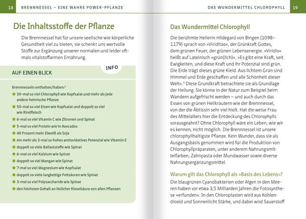 Produktbild: Brennnessel. Kompakt-Ratgeber