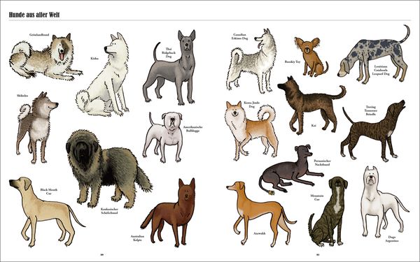 Produktbild: Gro&szlig;e Hunde, kleine Hunde