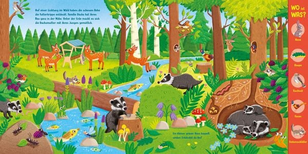 Produktbild: WO ist WAS? Was wimmelt in Wald und Wiese?