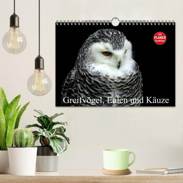 Produktbild: Greifv&ouml;gel, Eulen und K&auml;uze (Wandkalender 2026 DIN A4 quer), CALVENDO Monatskalender