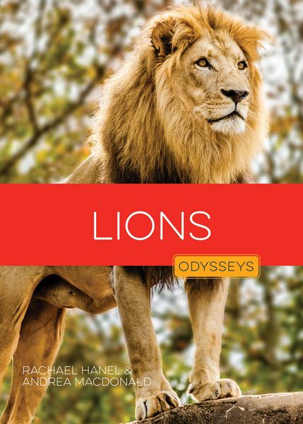 Produktbild: Lions