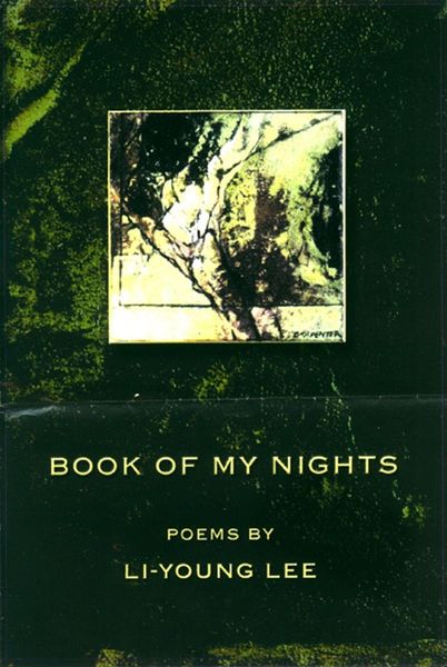Produktbild: Book of My Nights
