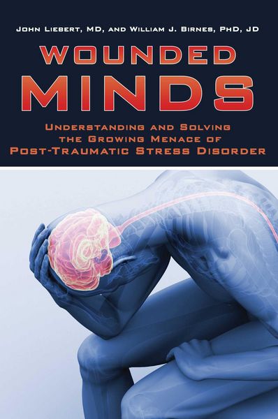 Produktbild: Wounded Minds