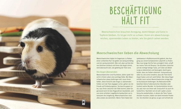 Produktbild: Meerschweinchen