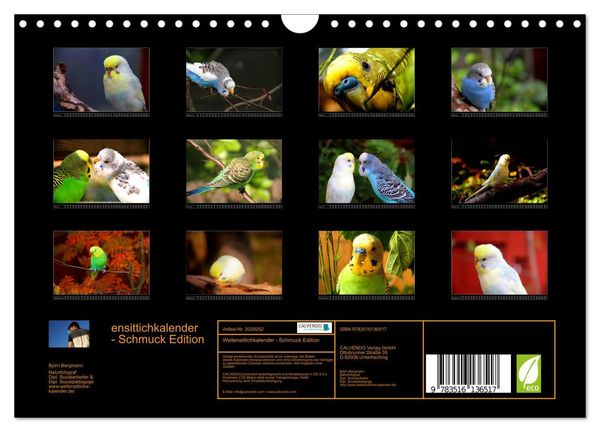 Produktbild: Wellensittichkalender - Schmuck Edition (Wandkalender 2026 DIN A4 quer), CALVENDO Monatskalender