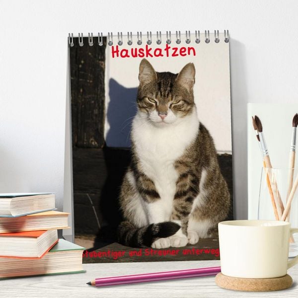Produktbild: Hauskatzen (Tischkalender 2026 DIN A5 hoch), CALVENDO Monatskalender