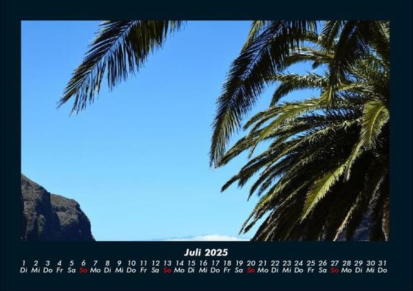 Produktbild: Palmentraum 2025 Fotokalender DIN A4